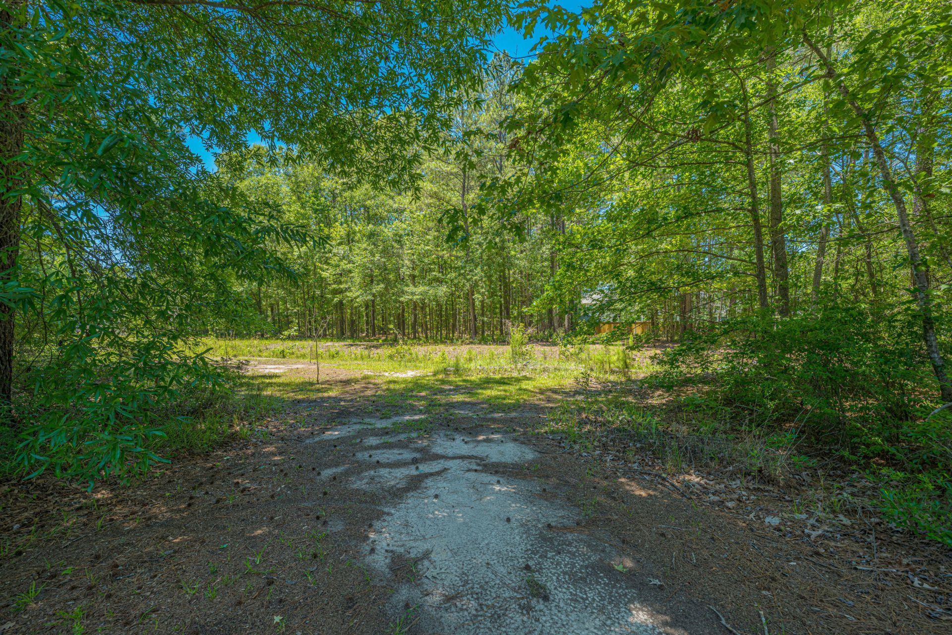 3013 Flat Rock Lane Photo 60