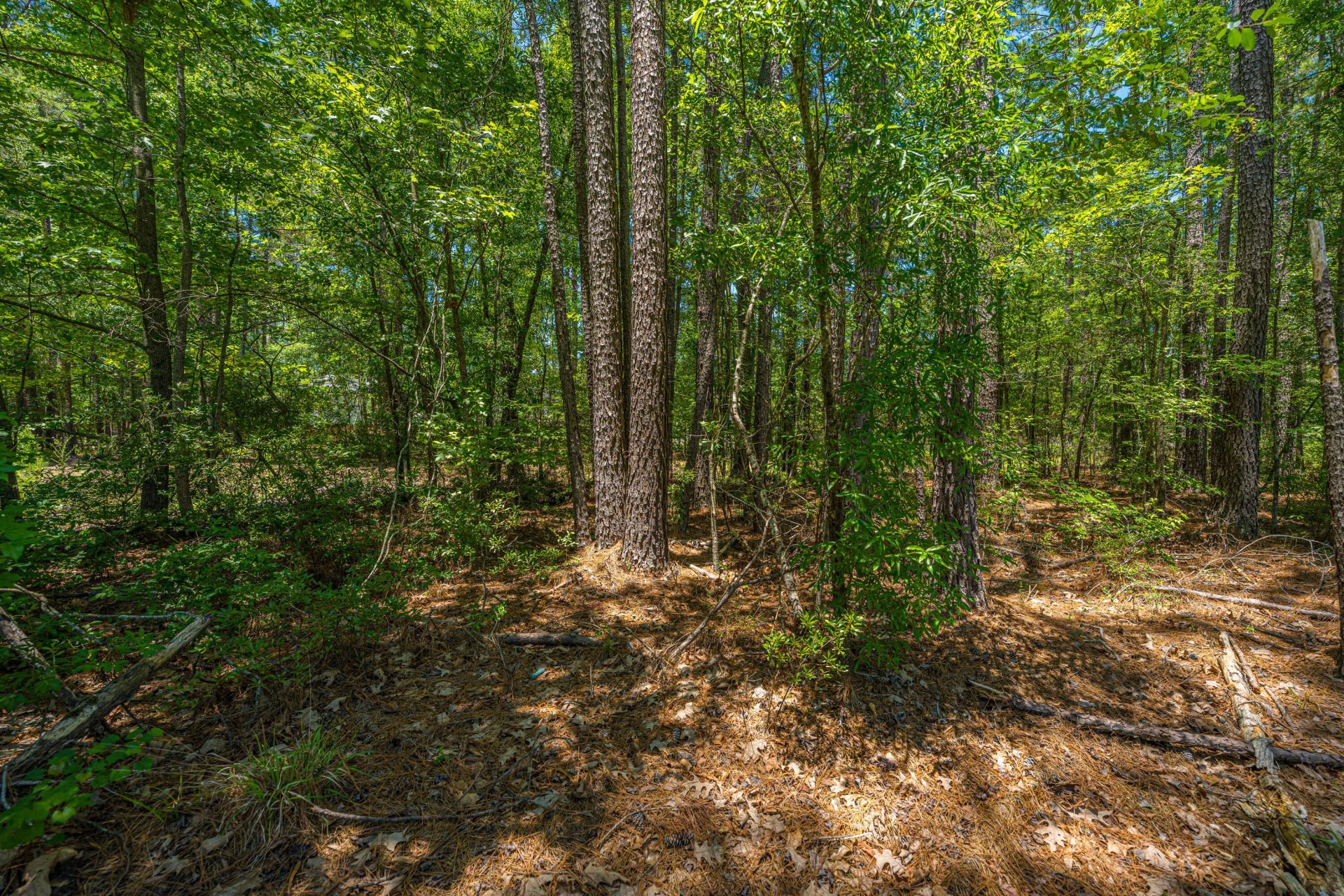 3013 Flat Rock Lane Photo 62