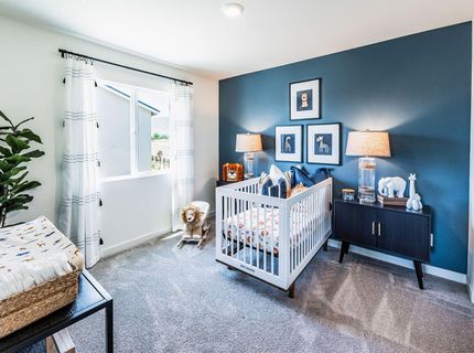 491 Radiant Drive, Carson City, NV 89705 Photo