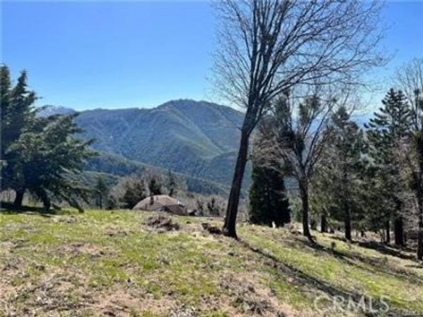 41 Fredalba Road , Running Springs, CA 92382