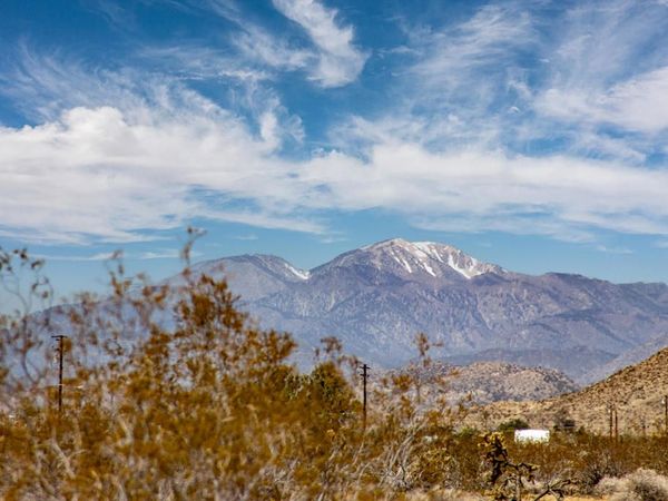 407 California Avenue , Joshua Tree, CA 92252