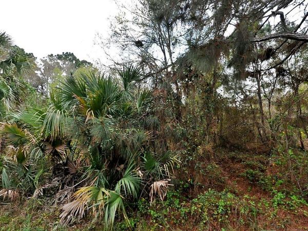 HENNING STREET , NORTH PORT, FL 34288
