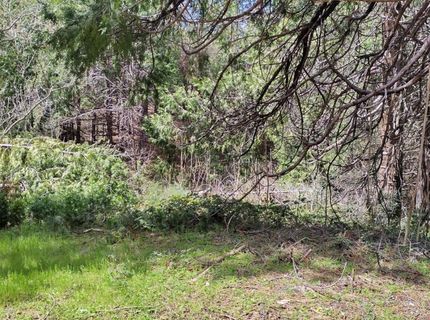 6141 State Highway 193, Georgetown, CA 95634 Photo