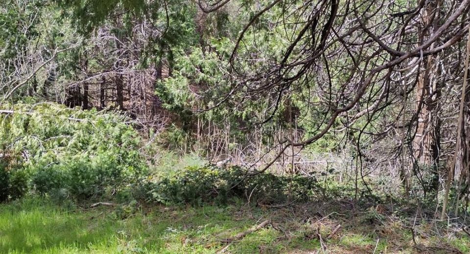 6141 State Highway 193, Georgetown, CA 95634 Photo