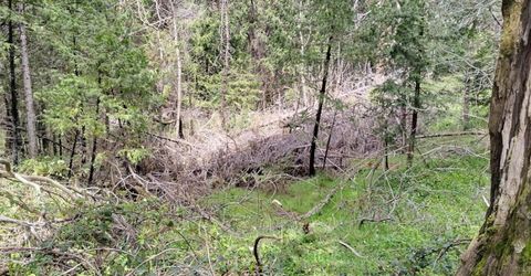 6141 State Highway 193, Georgetown, CA 95634 Photo