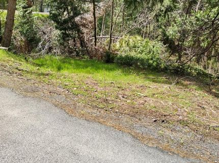 6141 State Highway 193, Georgetown, CA 95634 Photo