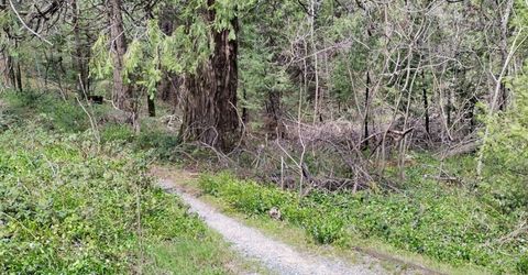6141 State Highway 193, Georgetown, CA 95634 Photo