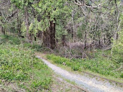6141 State Highway 193, Georgetown, CA 95634 Photo