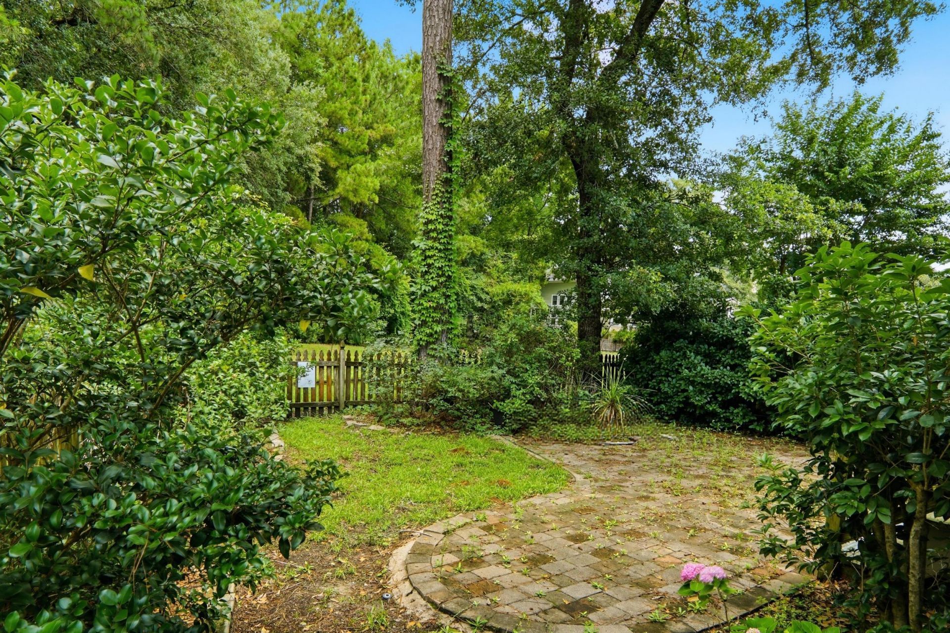 146 Ashley Bluffs Road Photo 52