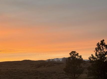 380 Andrew Cahill Lane, Reno, NV 89503 Photo