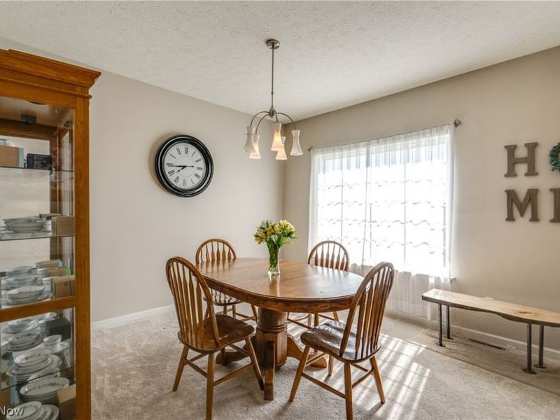 163 Newton Drive, Wadsworth, OH 44281 Photo 11