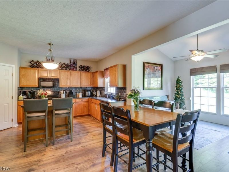 163 Newton Drive, Wadsworth, OH 44281 Photo 17