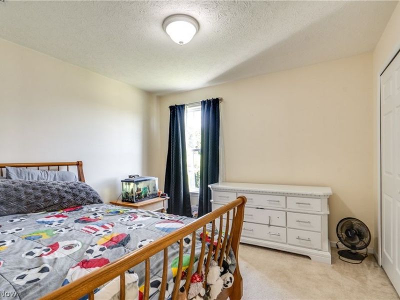 163 Newton Drive, Wadsworth, OH 44281 Photo 32