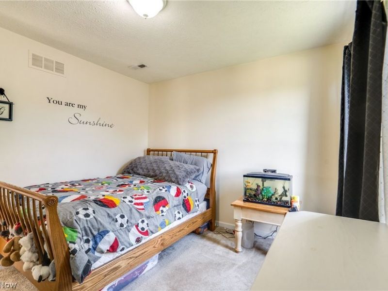 163 Newton Drive, Wadsworth, OH 44281 Photo 33