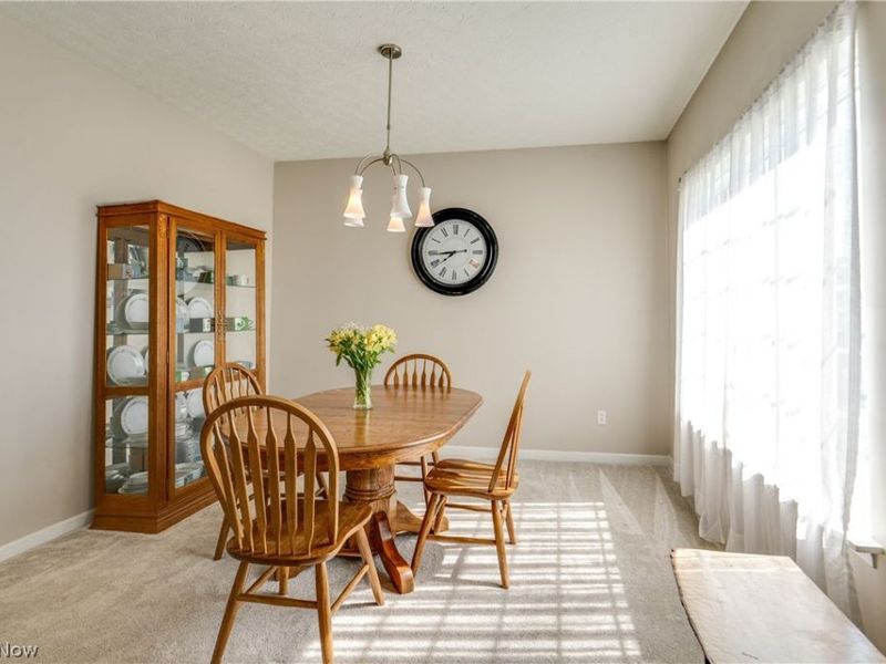 163 Newton Drive, Wadsworth, OH 44281 Photo 9