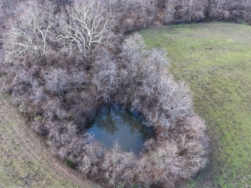 980 Lebanon Road, Unit 975, Crittenden, KY 41030 Photo 6