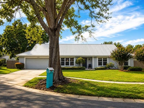 11904 TREVINO PLACE , TAMPA, FL 33624