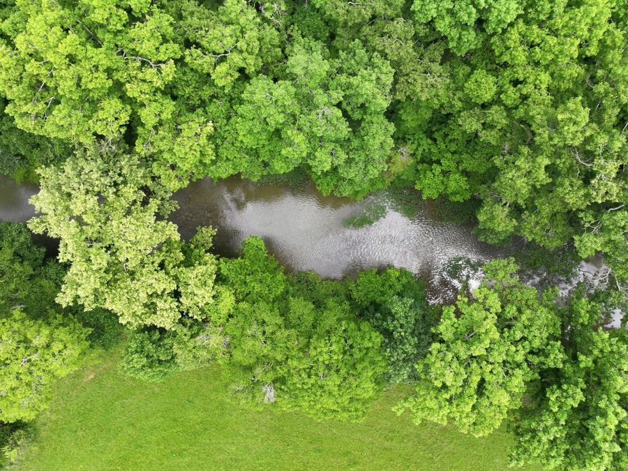 Property Image 55