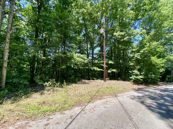 0 Dogwood Place , Unit 173, Smithville, TN 37166
