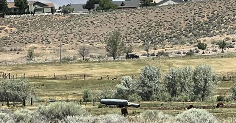 854 Calle Myriam Drive, Sparks, NV 89436 Photo