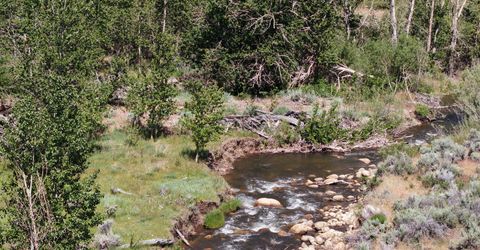 060 River Ranch Road, Markleeville, CA 96120 Photo