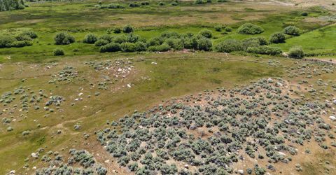 060 River Ranch Road, Markleeville, CA 96120 Photo