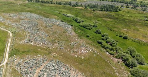 060 River Ranch Road, Markleeville, CA 96120 Photo