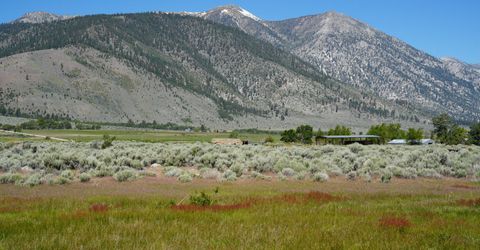 060 River Ranch Road, Markleeville, CA 96120 Photo