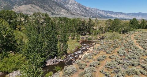 060 River Ranch Road, Markleeville, CA 96120 Photo
