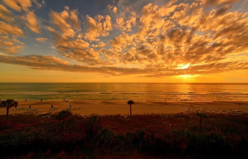 1300 Benjamin Franklin Drive, Unit 301, Sarasota, FL 34236 Photo