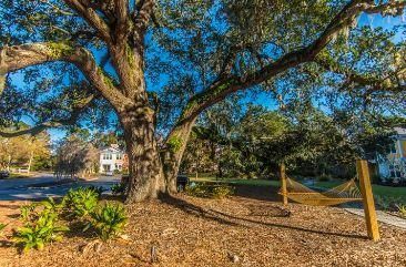 2033 Chatelain Way Photo 34