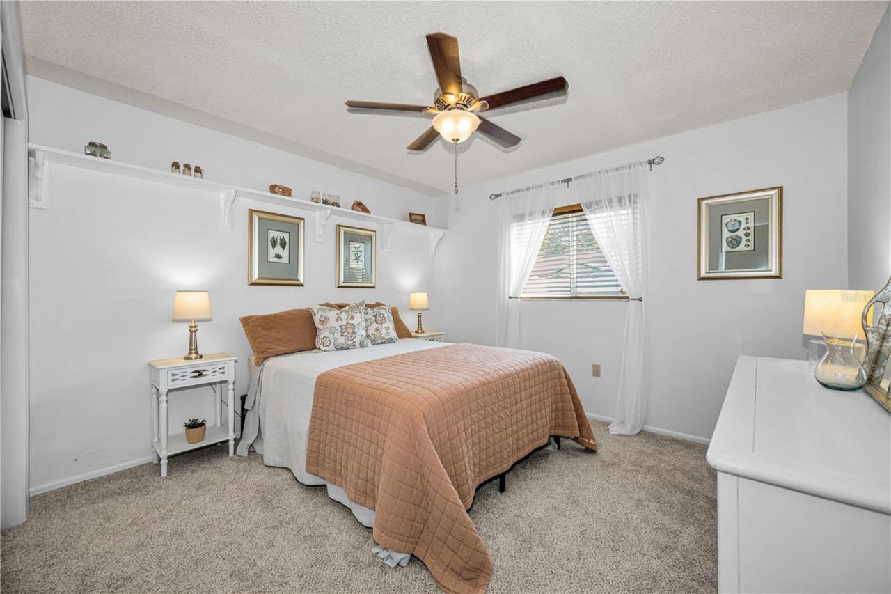 6907 Oldgate Circle, New Port Richey, FL 34655 Photo
