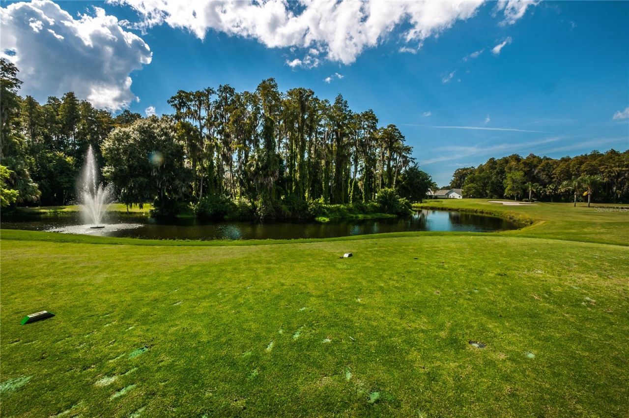 6907 Oldgate Circle, New Port Richey, FL 34655 Photo