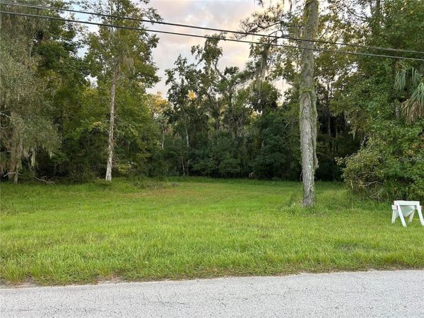 24916 BUTLER STREET , ASTOR, FL 32102