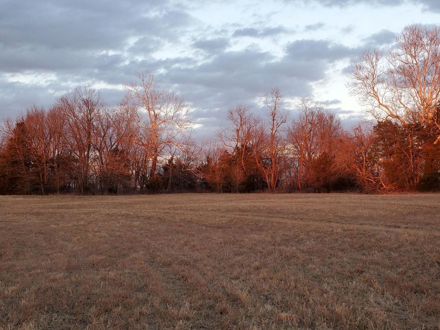 Property Image 138