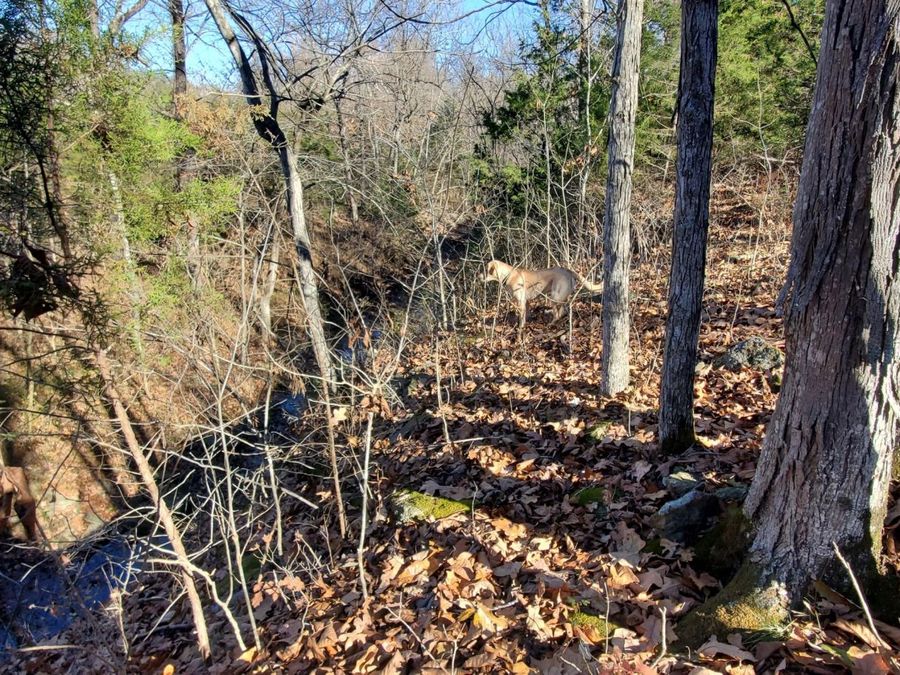 Property Image 188