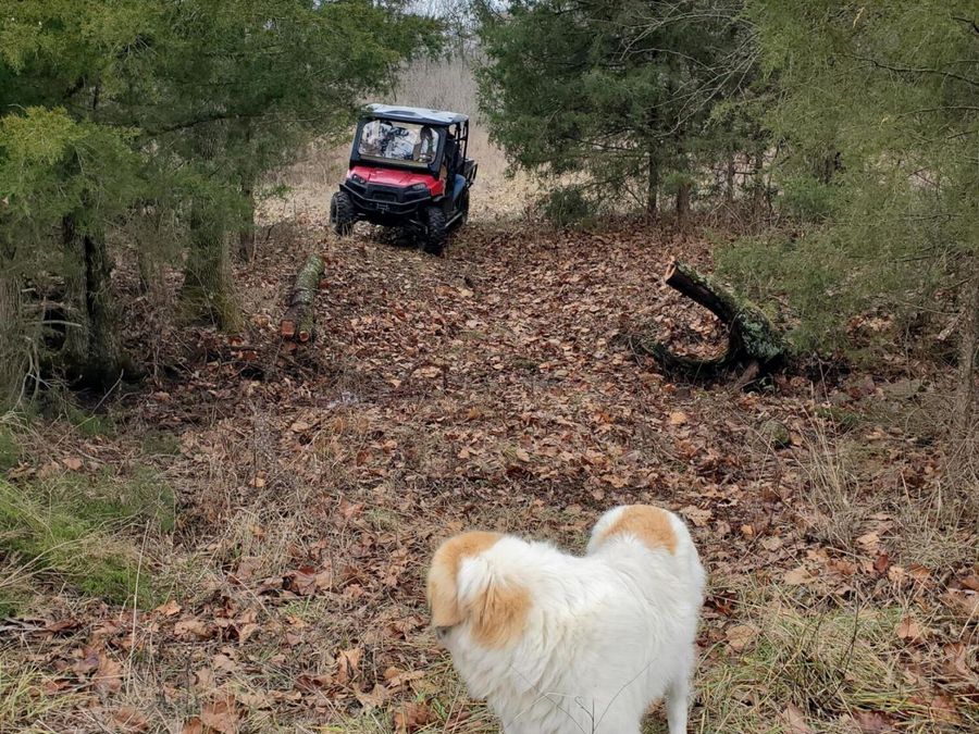 Property Image 35