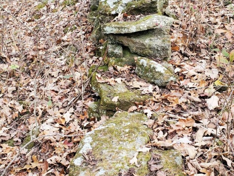 Property Image 61