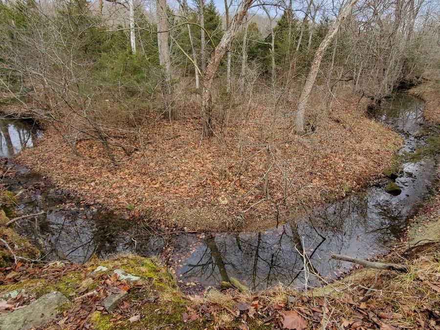 Property Image 97
