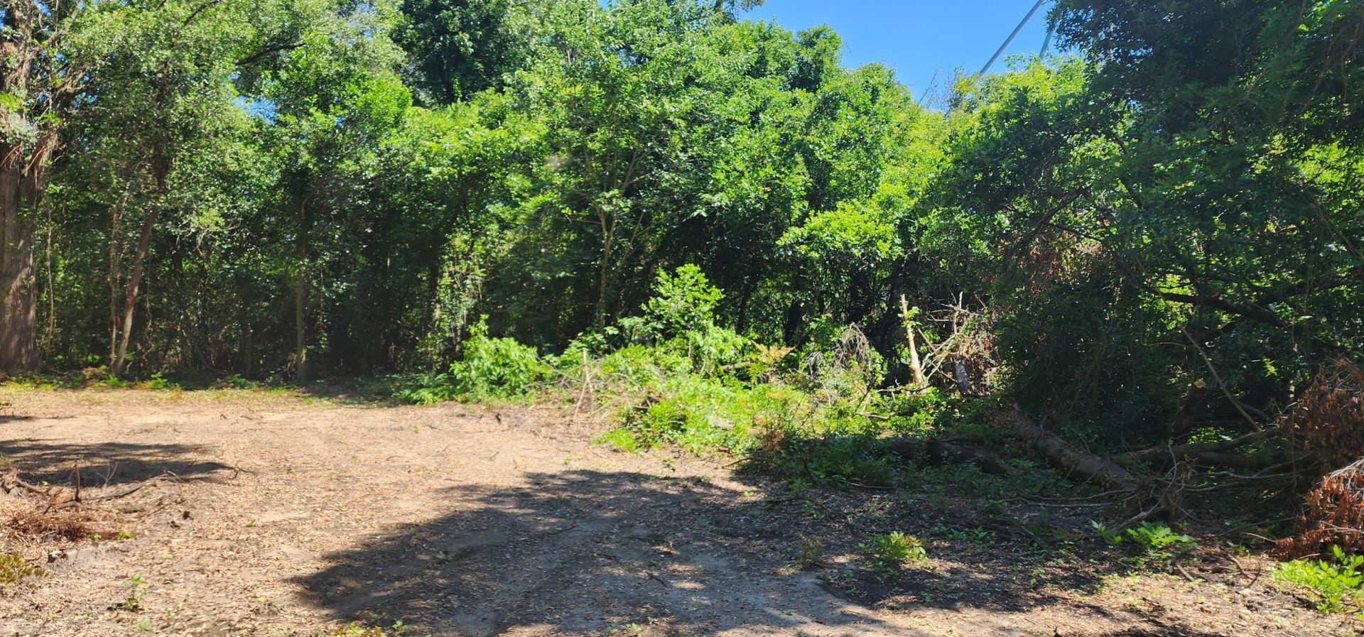 336 Railroad Avenue Photo 5