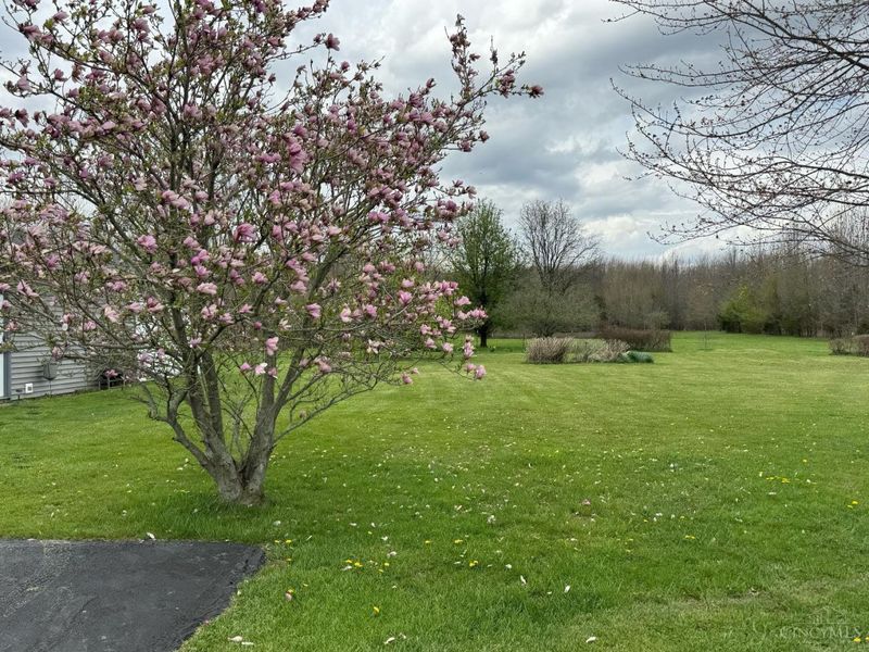 11246 St Rt 730, Marion Twp, OH 45107 Photo 7