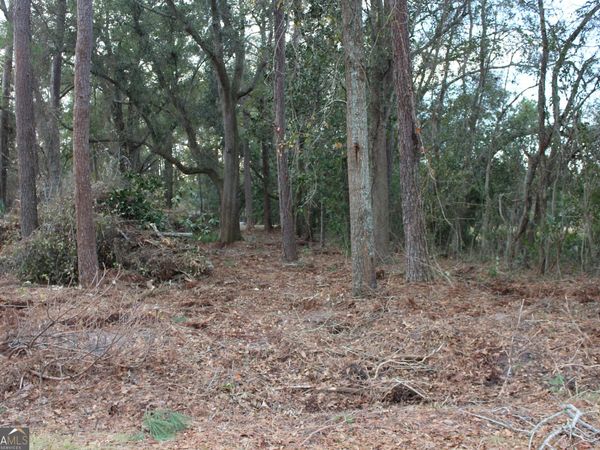 0 Lott Street S, Lenox, GA 31637