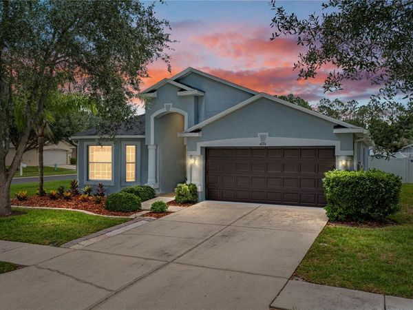 4224 BRANCHSIDE LANE , WESLEY CHAPEL, FL 33543