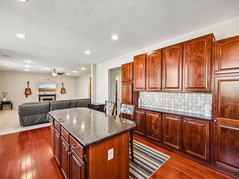 317 Blue Jacket Circle, Pickerington, OH 43147 Photo 14