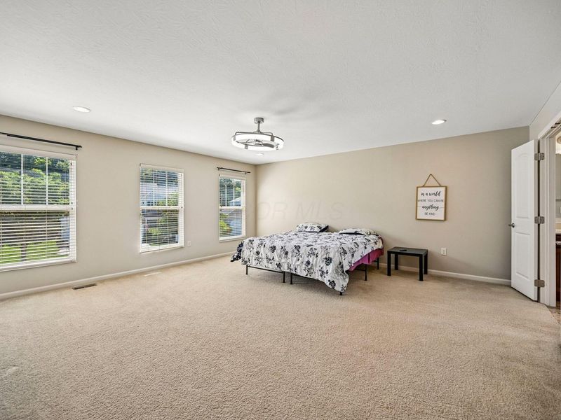317 Blue Jacket Circle, Pickerington, OH 43147 Photo 23