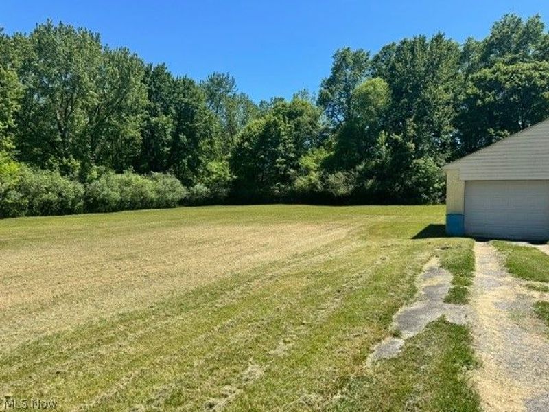 1315 Crumrine Street, Youngstown, OH 44505 Photo 6
