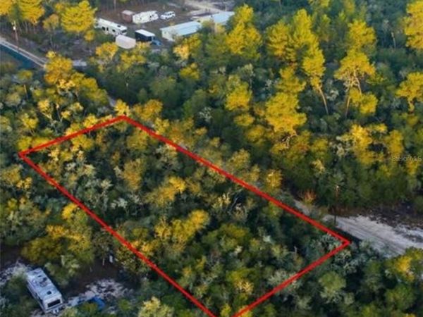 TBD NE 234 PLACE , FORT MC COY, FL 32134
