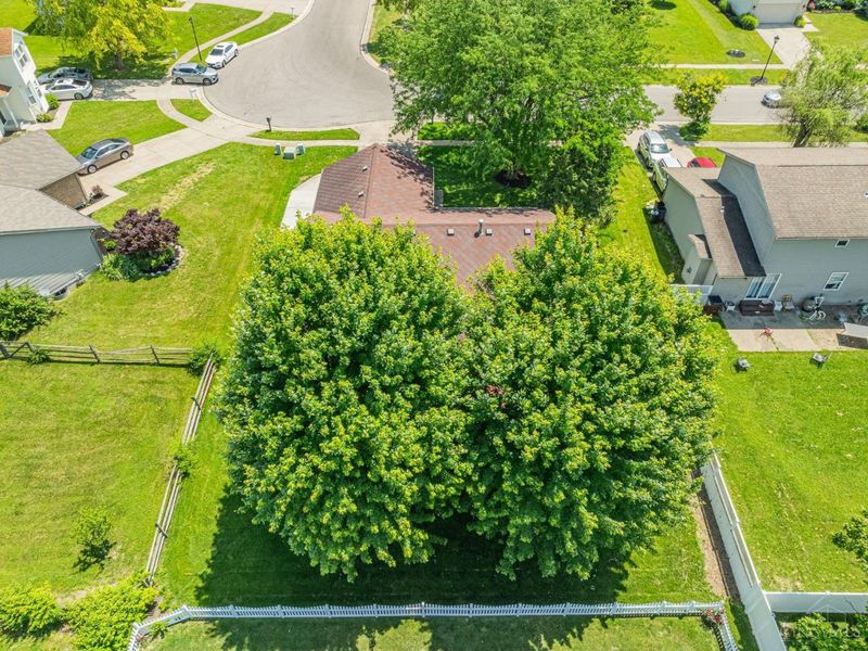 6559 Vonnie Vale Court, Fairfield Twp, OH 45011 Photo 49