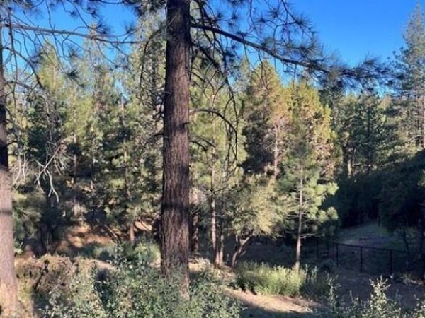 545 Division Drive, Big Bear, CA 92314