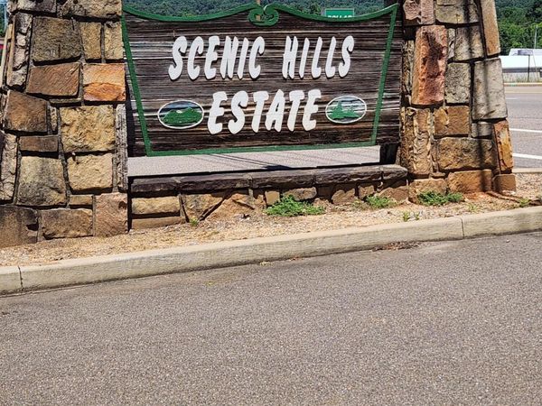 Chapman View Drive, Seymour, TN 37865